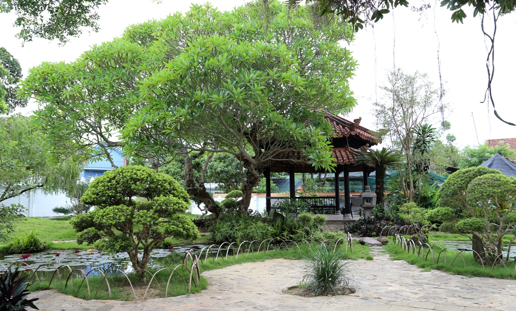 Hue garden housse